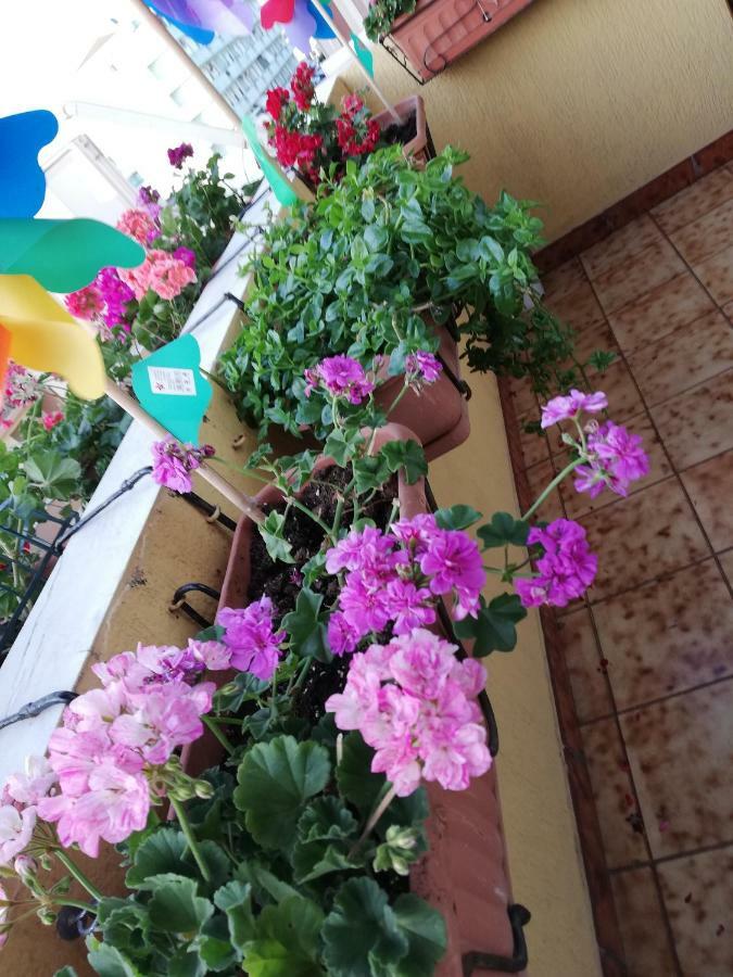 B&B Casa Mia Alghero Eksteriør bilde